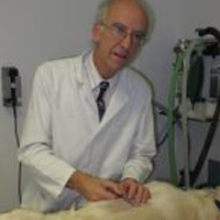 Mark Craig - Visiting Referral Veterinary Surgeon